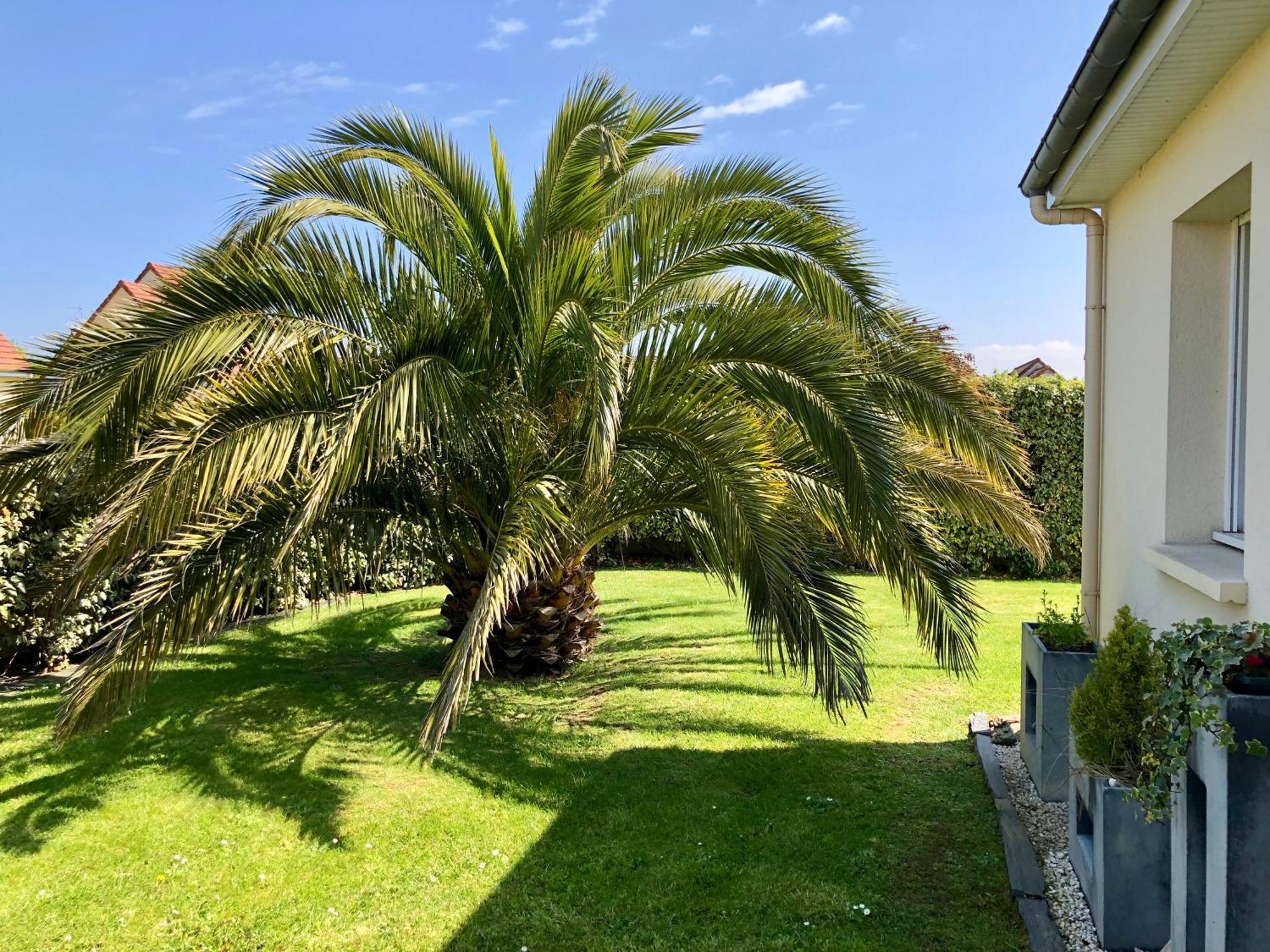 Les Palmiers Gite 7 Personnes Plages Du Debarquement Grandcamp-Maisy Bagian luar foto